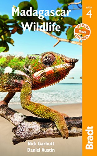 Madagascar Wildlife: A Visitor's Guide (Bradt Wildlife Guides)
